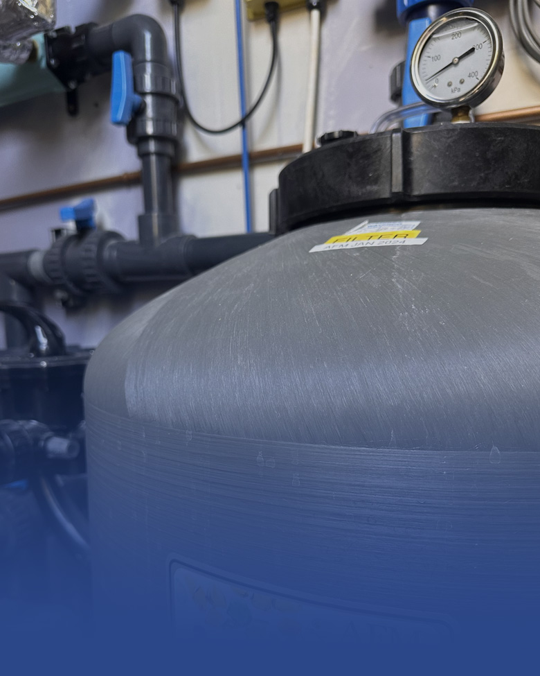 Pool pump and filtration equipment